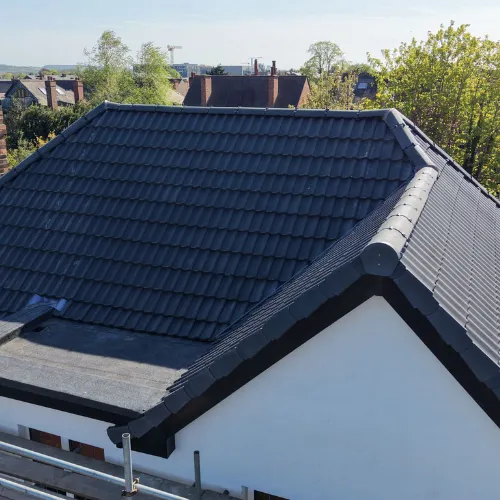 Recent roof project